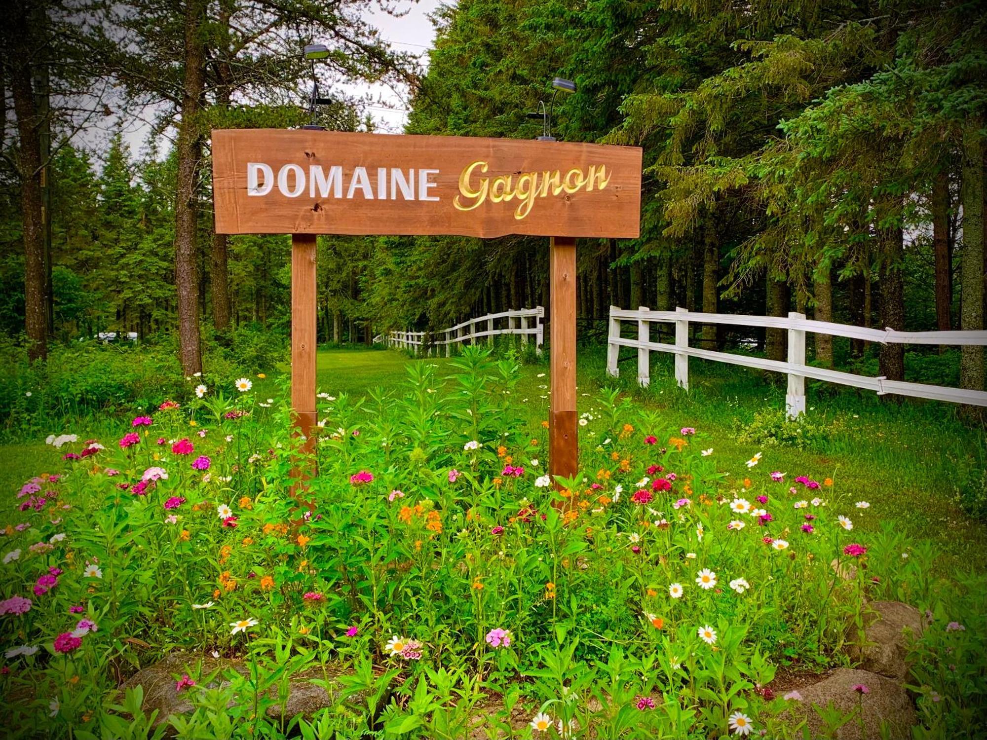 Villa Domaine Gagnon Saint Sebastien Exterior foto